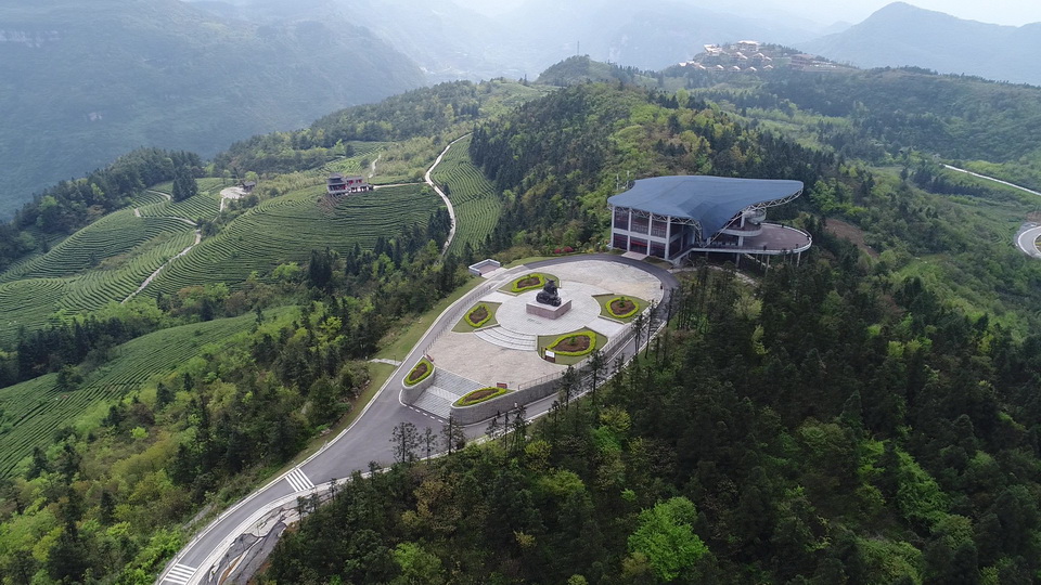 在森林和茶山之中的生态小镇，适合休闲度假，养生品茶的好地方，在这里远离城市喧嚣，一个真正让你静下来的世外桃源！