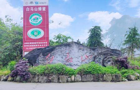 相约浪漫白马山，邂逅心爱的Ta